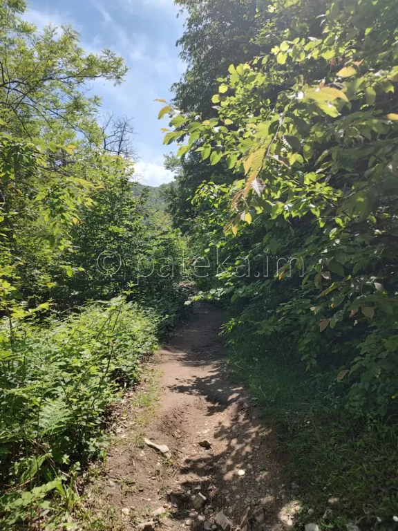 По маршрута за водопад Боров камък