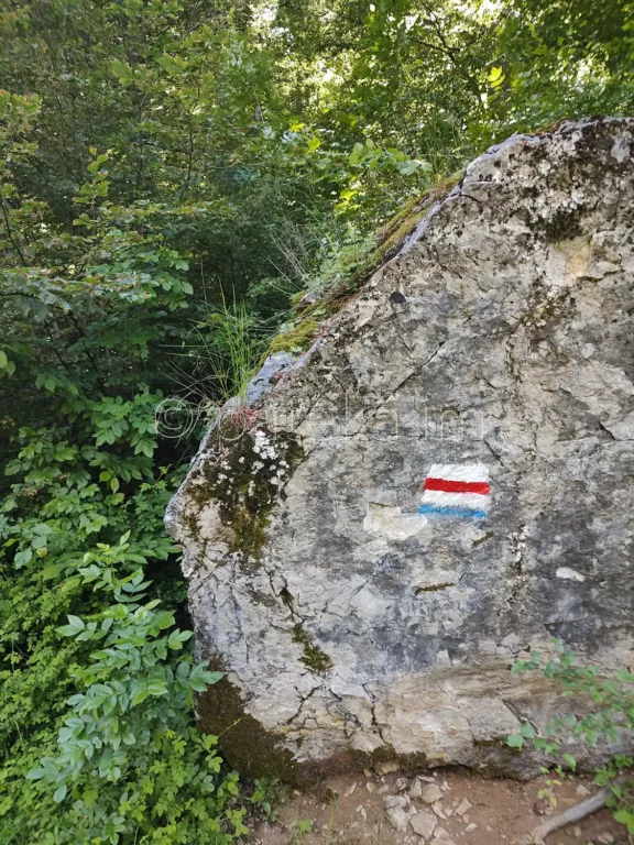 Червена лентова маркировка по маршрута за водопад Боров камък
