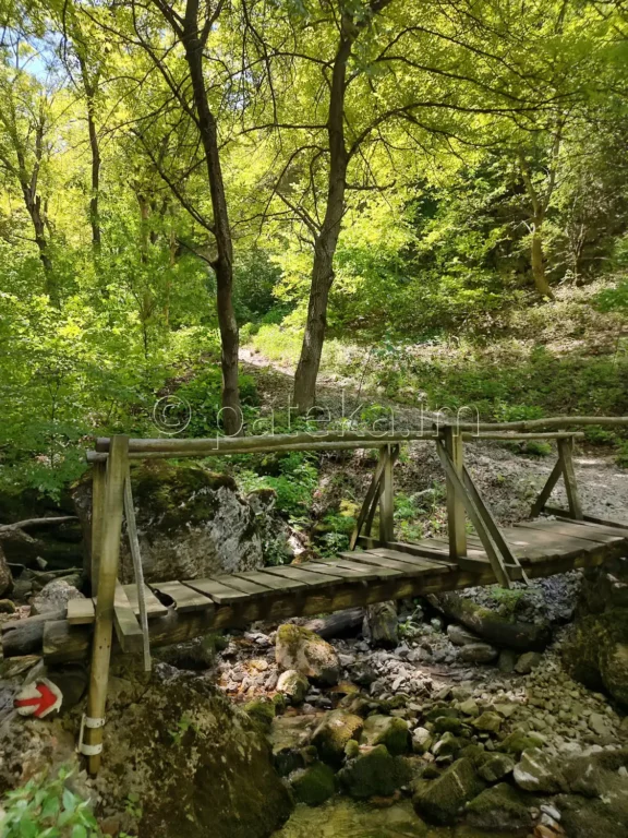 Екопътека Боров камък
