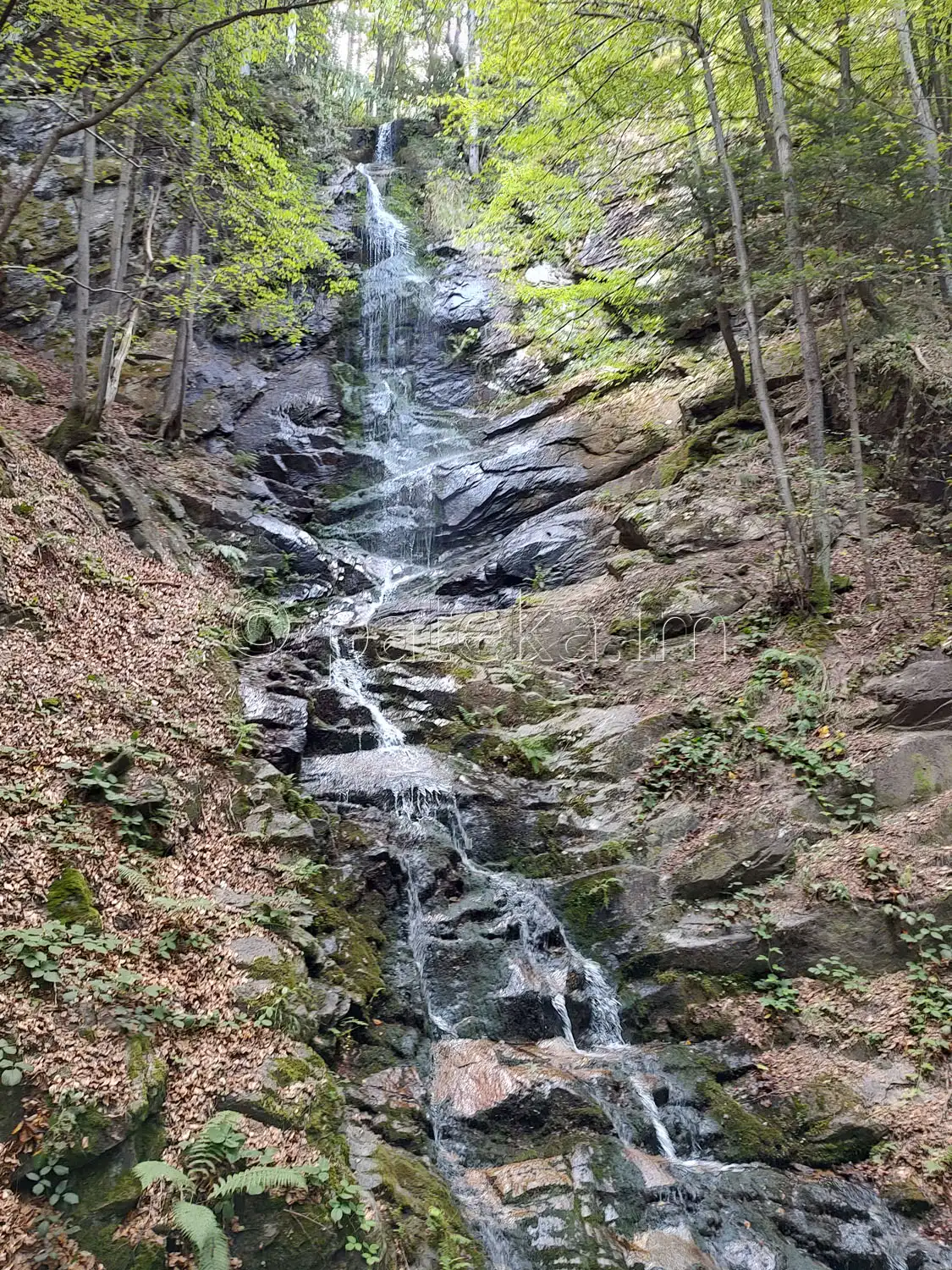 Водопад Скаловитец 49