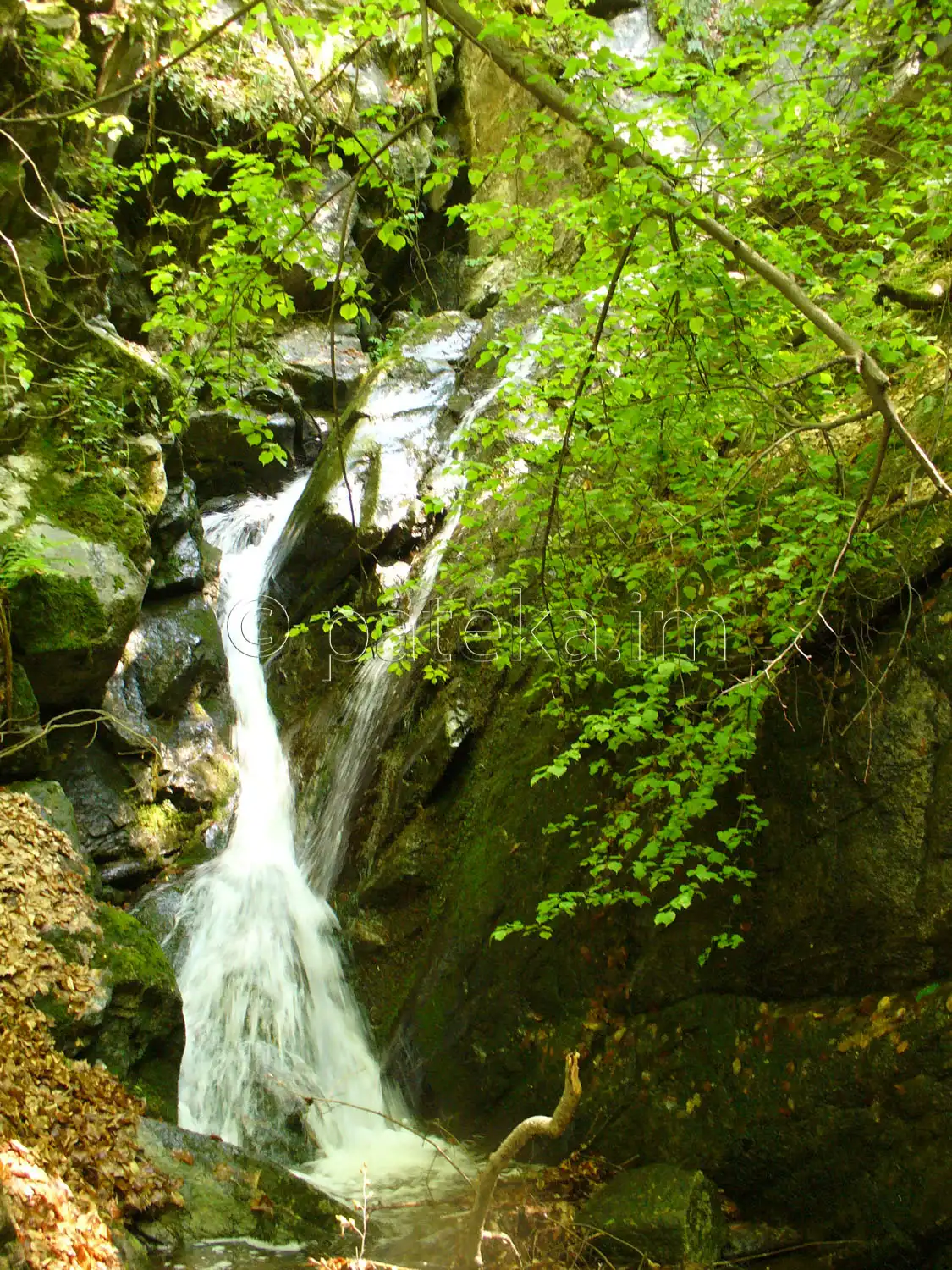 Водопад Скаловитец 59