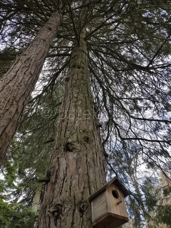 В двора на Искрецкия манастир
