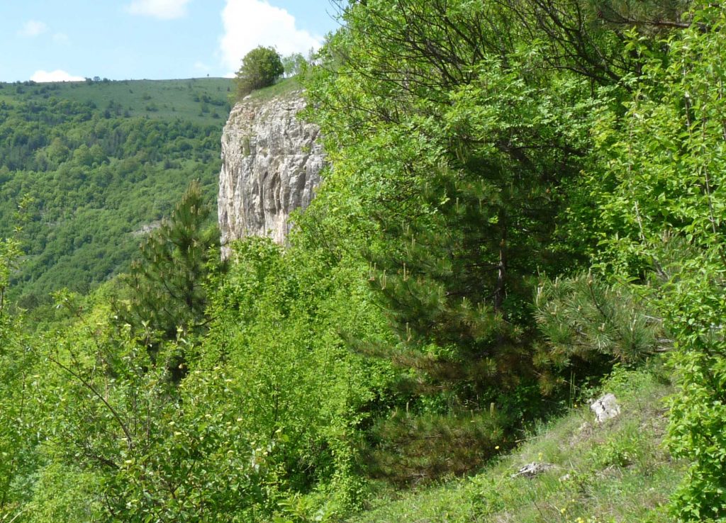 скалният венец над пещера Говедарника