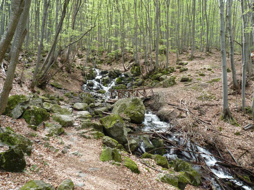Боянски водопад 10
