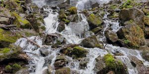 Алекови водопади на Витоша – маршрут от Драгалевски манастир над София