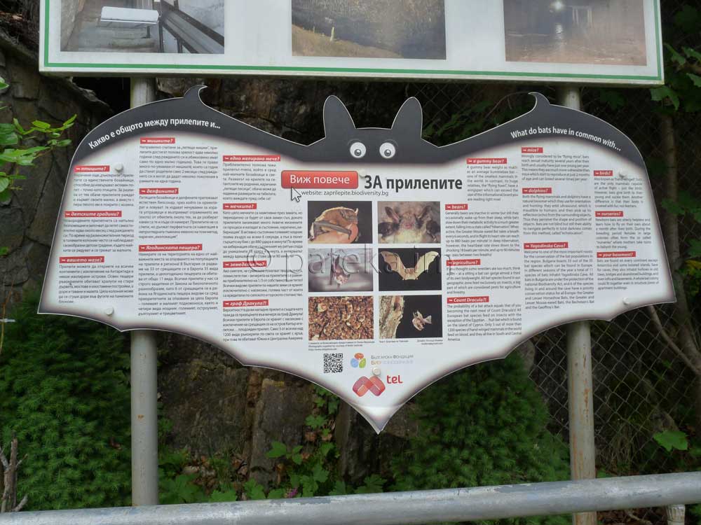 информационна табела за прилепите пред Ягодинска пещера