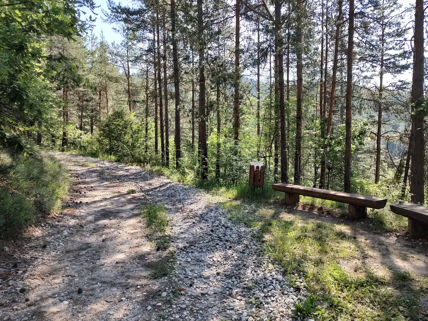 Девин: екопътека Храстево - пътят към Червен камък през гората