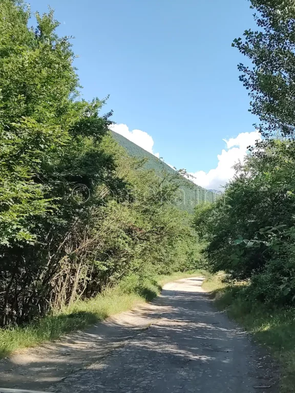 Черният път към екопътека Бяла река