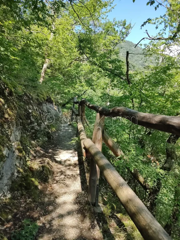 Екопътека Бяла река
