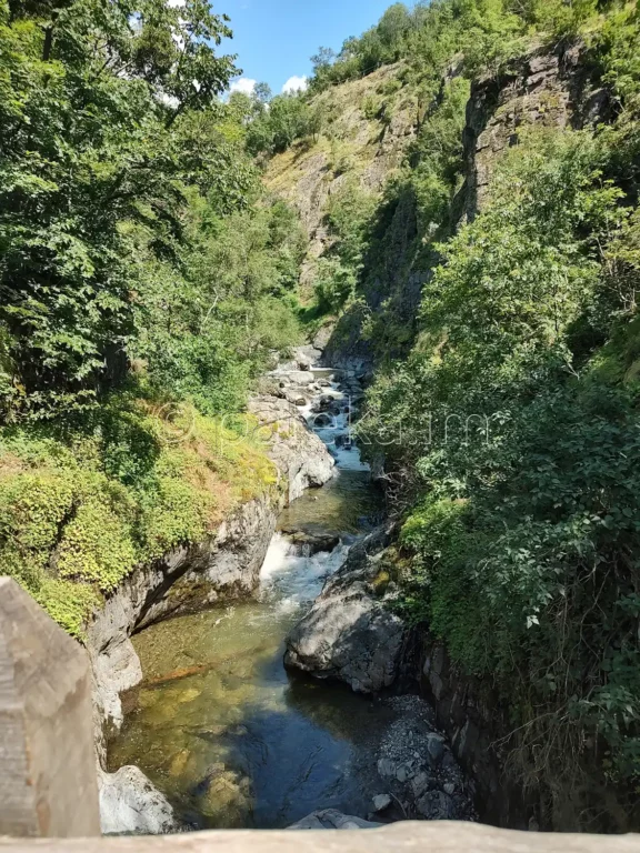 Бяла река