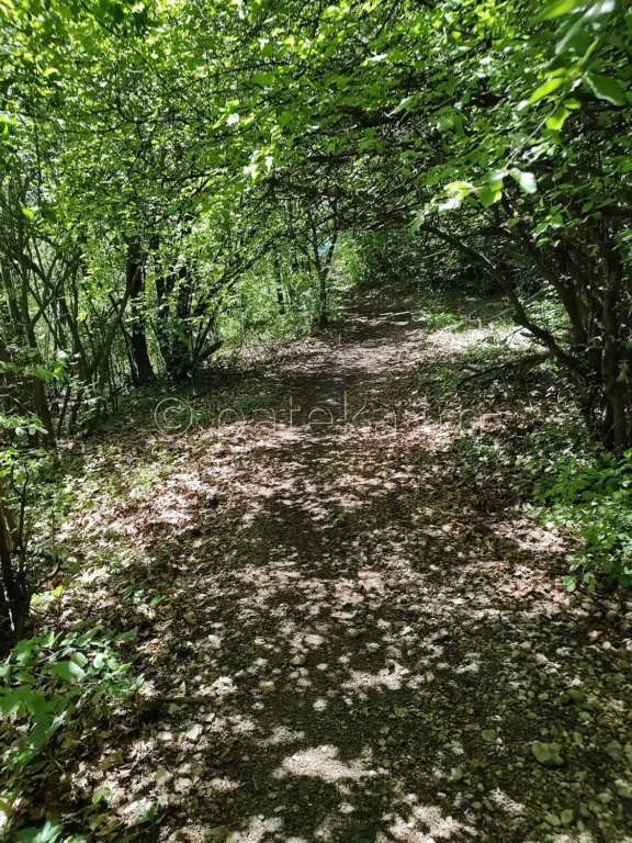 Лозенската екопътека