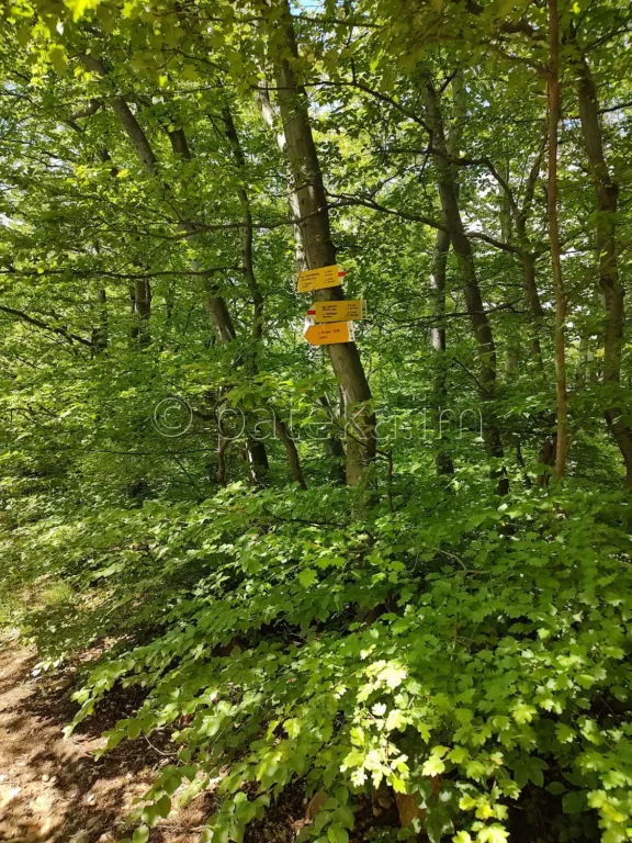 Указателни табелки в Лозенска планина