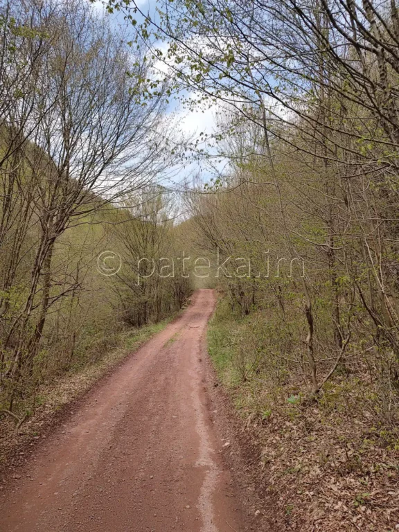 Пътят към водопад Бигора