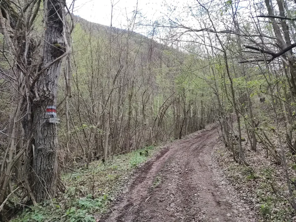 Пътят към водопад Бигора