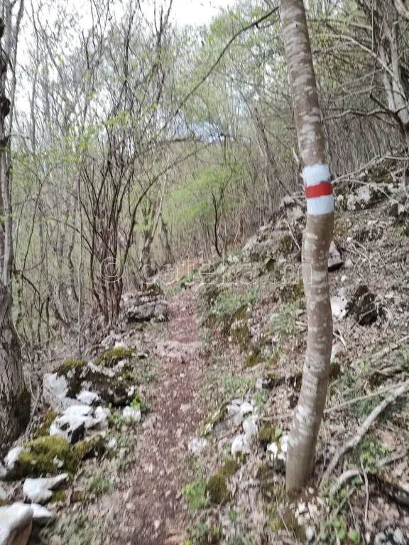 Пътеката за водопад Бигора