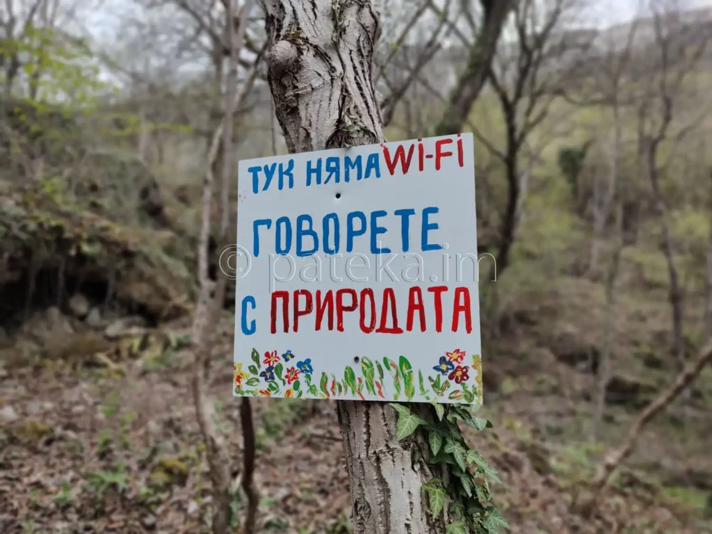 Водопад Бигора