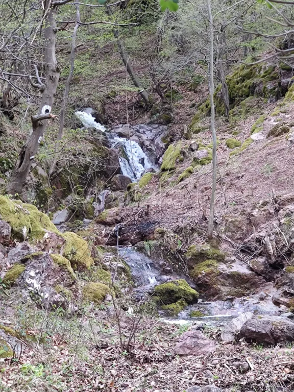 Долният водопад на река Слатина