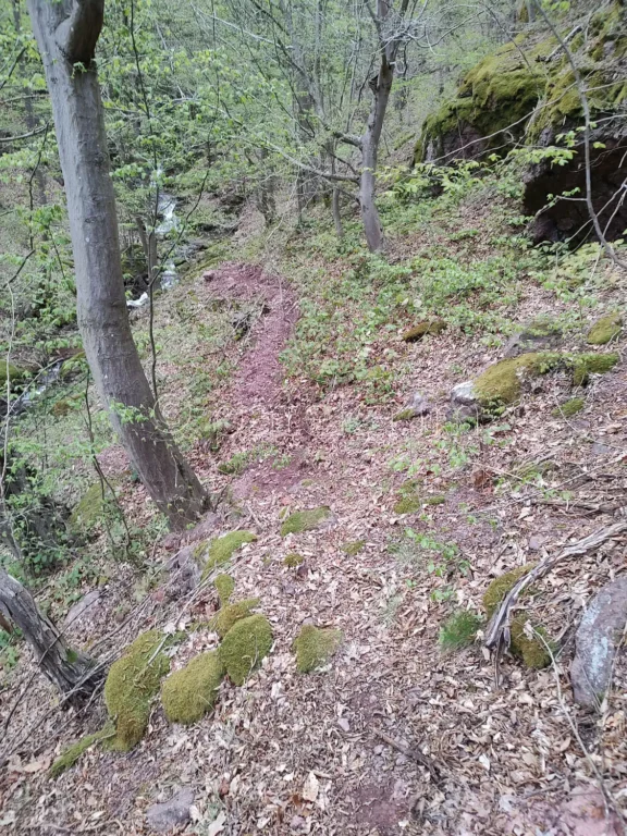 Пътечката към Горния водопад на река Слатина