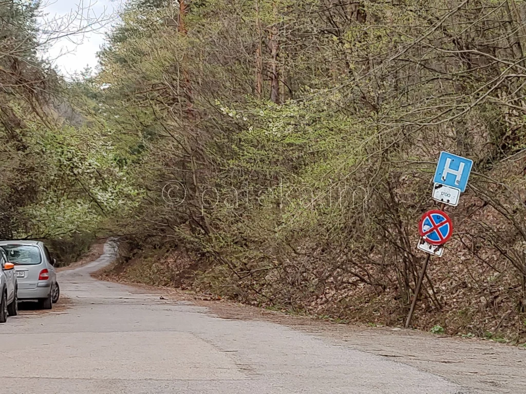 Улицата към изоставения санаториум в Драгалевци