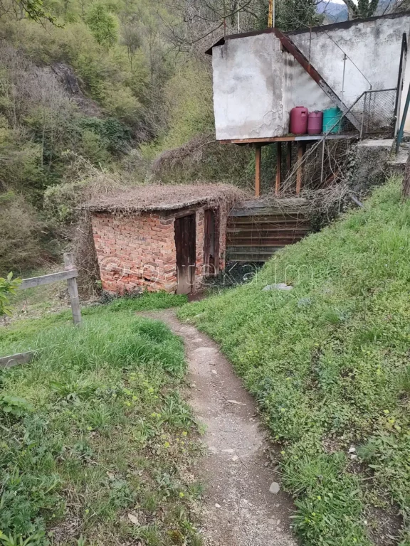 Пътеката към водопад Оселна на река Ржана