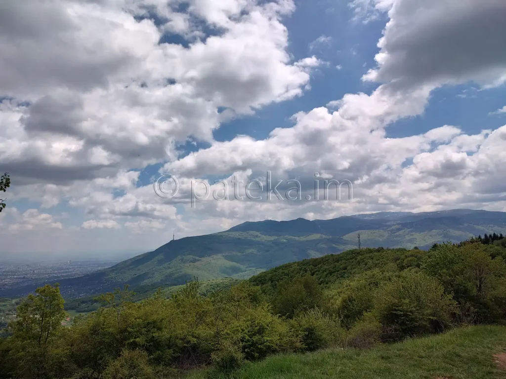 Гледка към Витоша от връх Дупевица