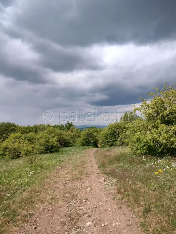 Пътят към параклис Вси Светии в Люлин планина