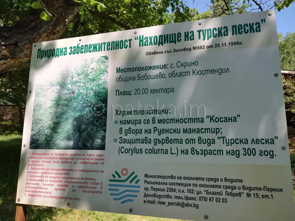 Таблека за находището на турска леска при Руенски манастир Св. Йоан Рилски