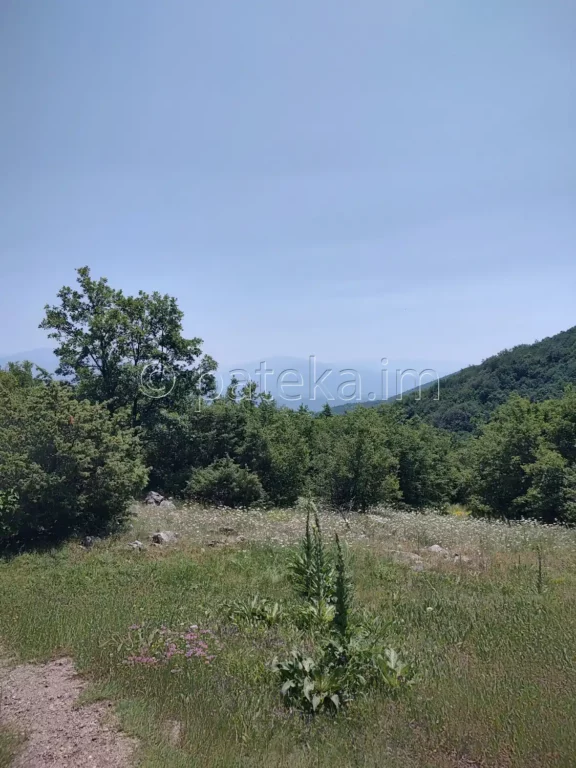 Пътеката за Кръста
