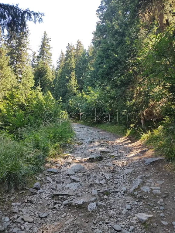 По маршрута Боровец - хижа Чакър войвода
