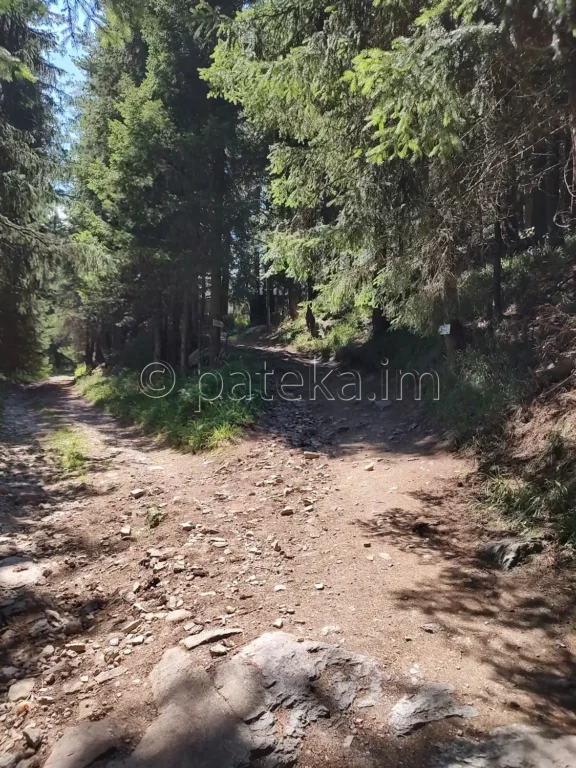 Разклонът за хижа Чакър войвода