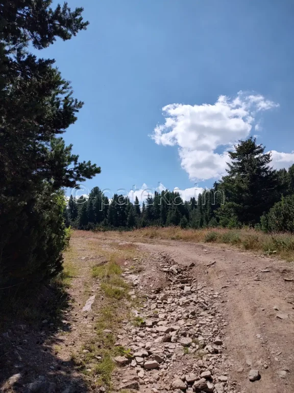 По маршрута за хижа Марица и хижа Заврачица над хижа Чакър войвода
