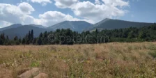 Жълтоезерната (Саръгьолска) поляна и дворец Саръгьол от хижа Чакър войвода