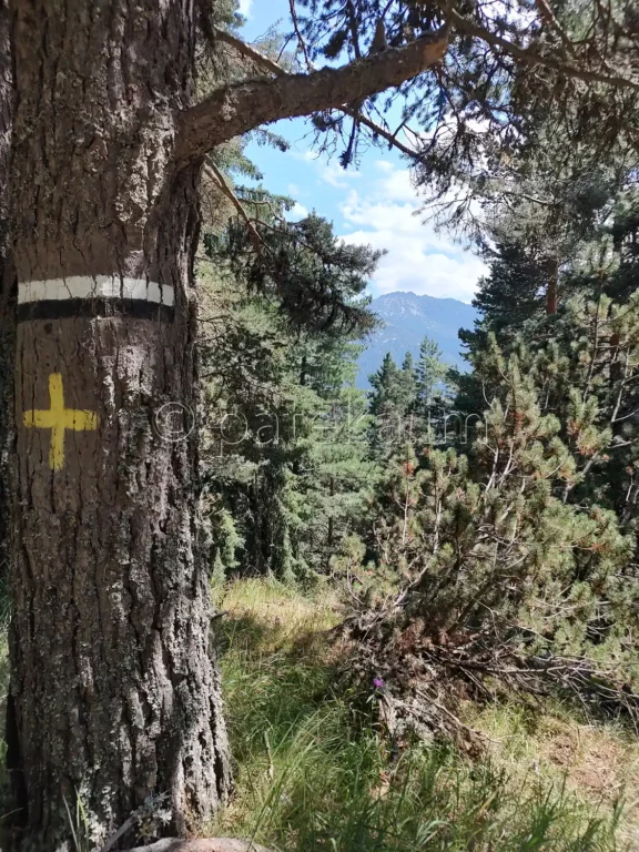 Гледка по маршрута за двореца Саръгьол, хижа Марица и хижа Заврачица в Рила