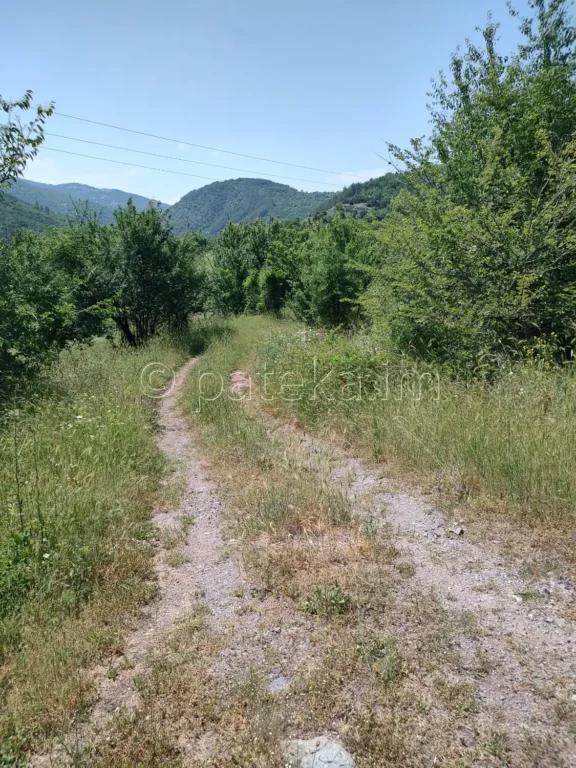 Черният път към църквата Св. Никола край с. Вуково