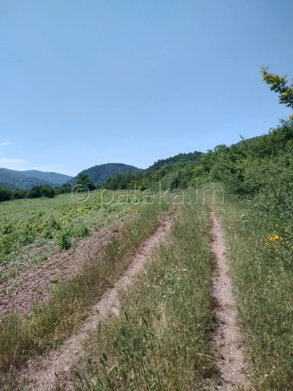 Черният път към средновековната църква Св. Никола край с. Вуково