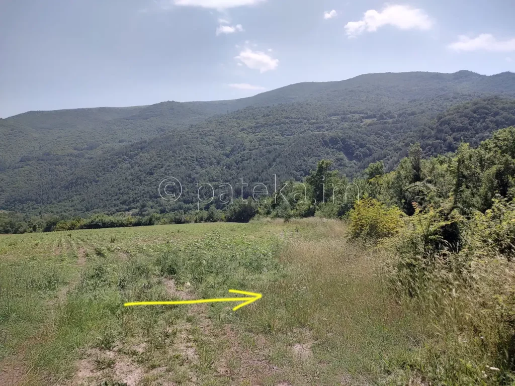 По пътя за църквата Св. Никола в близост до с. Вуково
