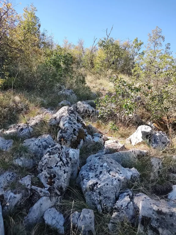 Пътеката за връх Бобошевски Руен над Руенския манастир и с. Скрино