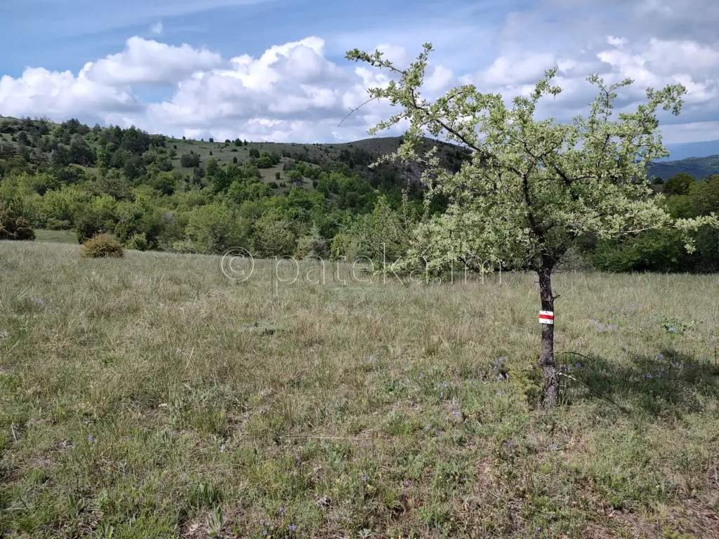 По маршрута за връх Бобошевски Руен