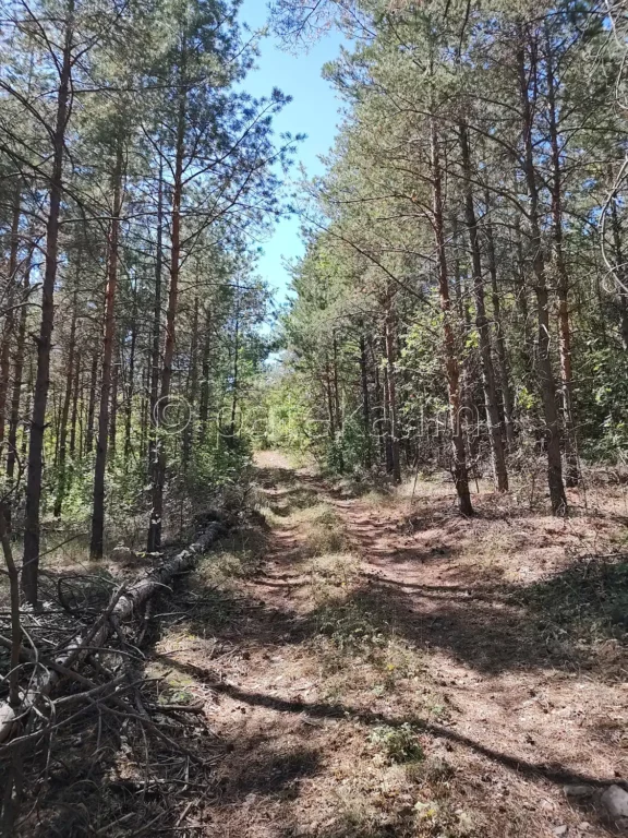 По маршрута за връх Бобошевски Руен от Бобошевския манастир