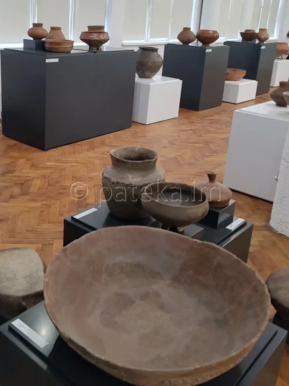 Регионален исторически музей Перник