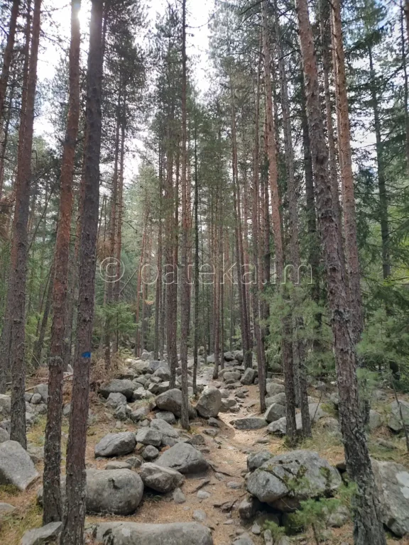 Екопътека Бели Искър