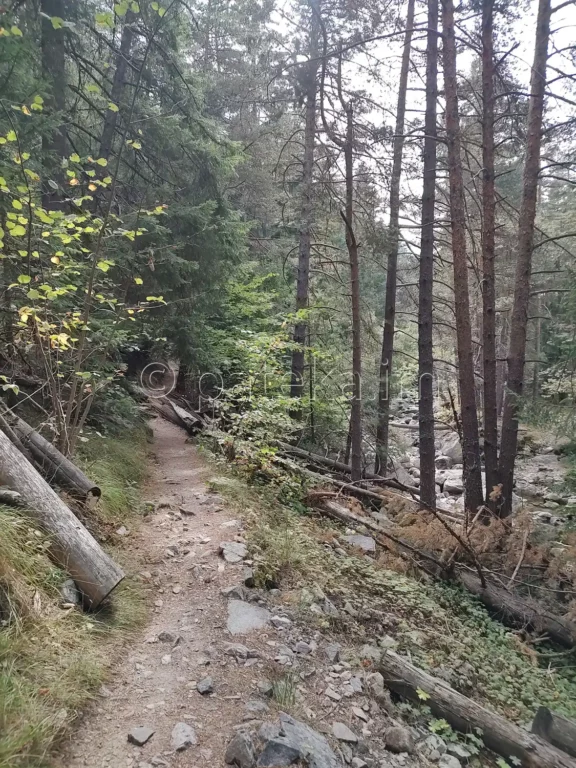 Пътеката става тясна