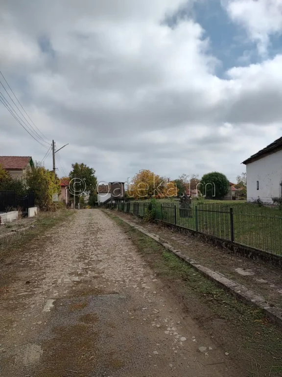 Улицата, по която се тръгва към р. Ръчене в Камено поле