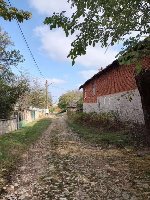 По маршрута за Чуклите Камено поле