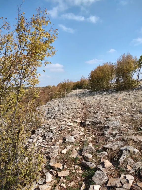 Пътеката над каньона на р. Ръчене