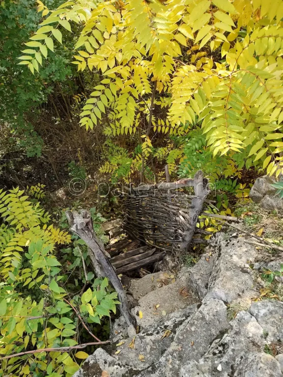 Дървена стълба