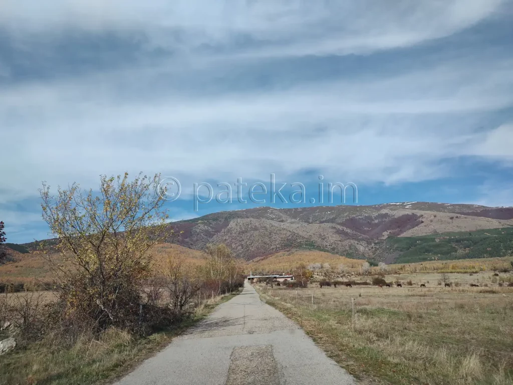 Пътят към Еленската базилика