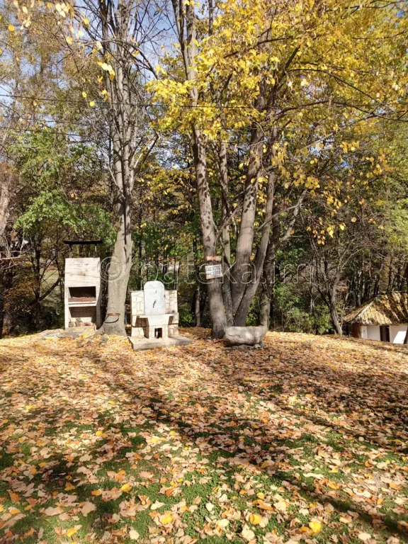 Чешма пред хижа Еленско