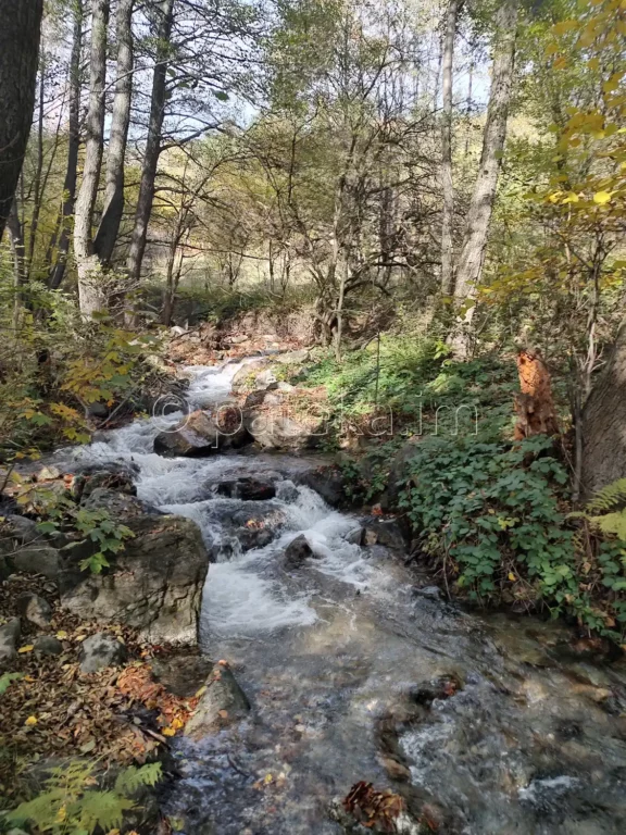 Река Еленска