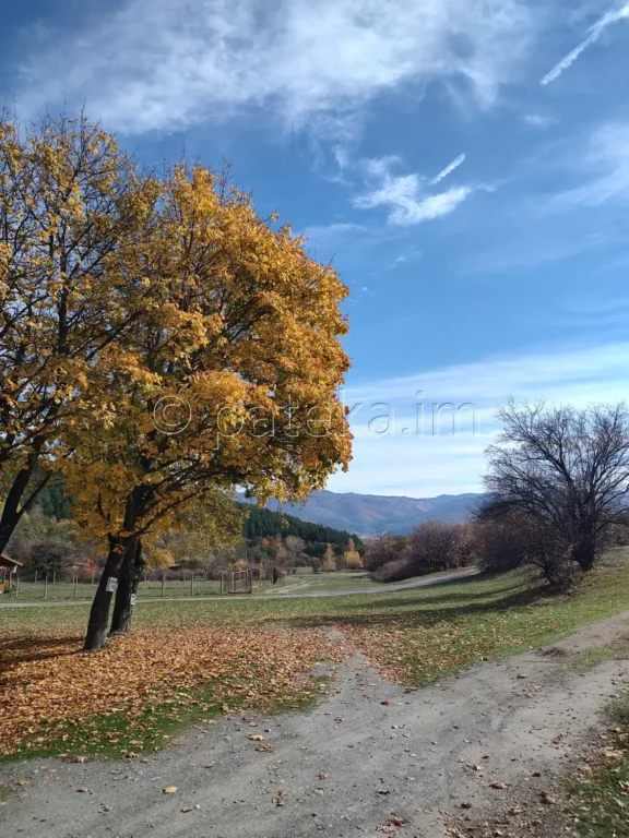 Гледката в близост до Еленската базилика